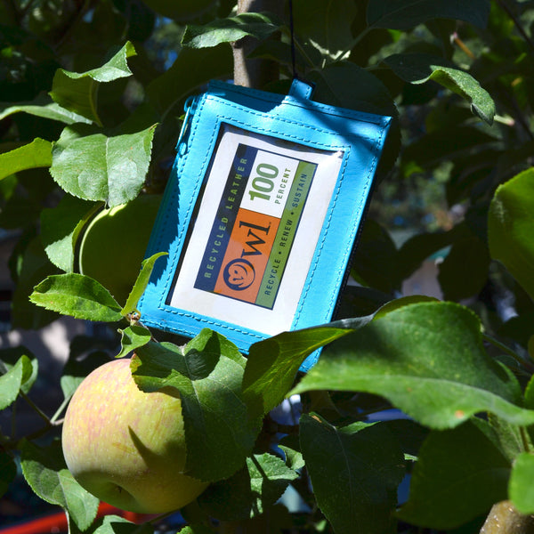 Security ID - Sky Blue