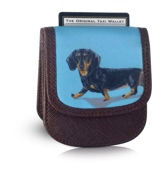 Dachshund
